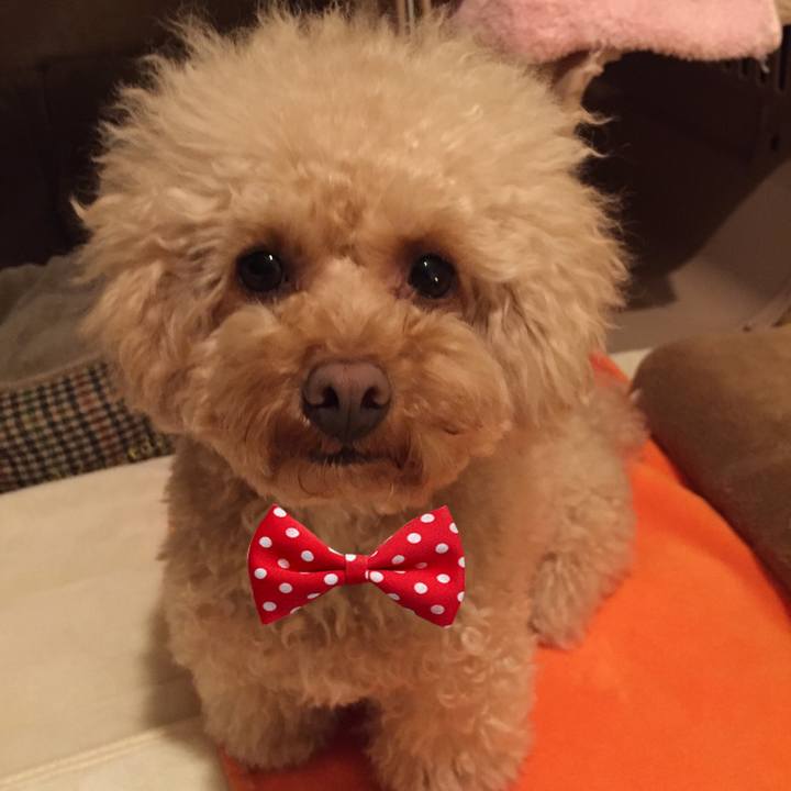 9eeb87c8 6be1 49f1 b1c7 e8297456d5e4