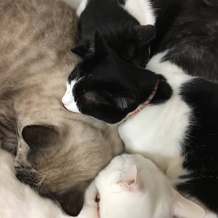 9eec2ca2 0d73 4321 b6ca f6bee730bffa