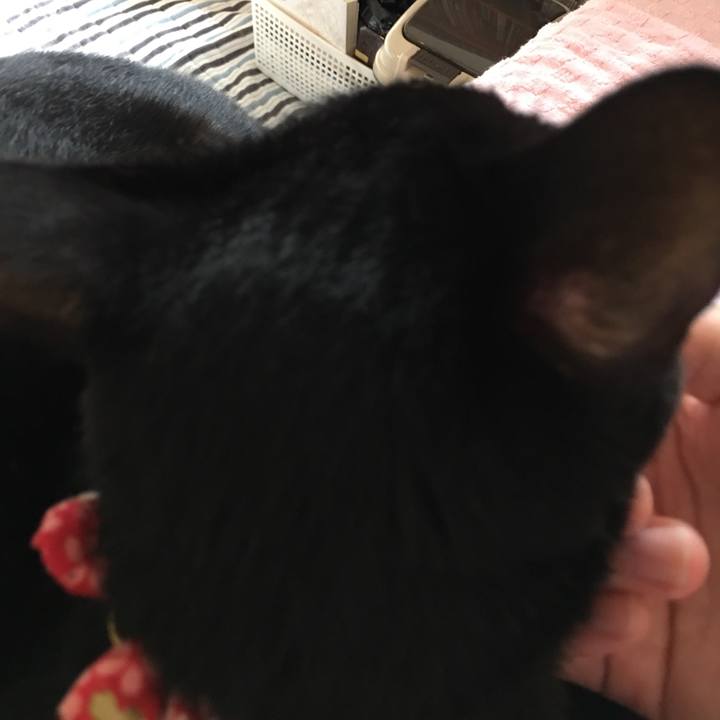 9eecf6a0 3dd8 4c3f a9c5 c30045b90dd1