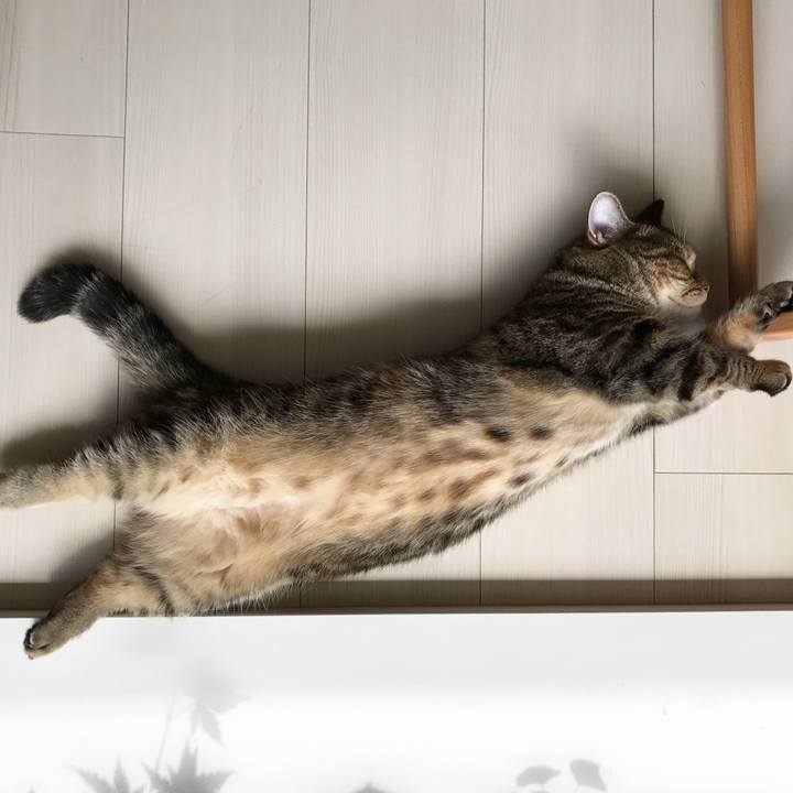 9eeda75b 5a36 4112 9062 4b7d28bea236