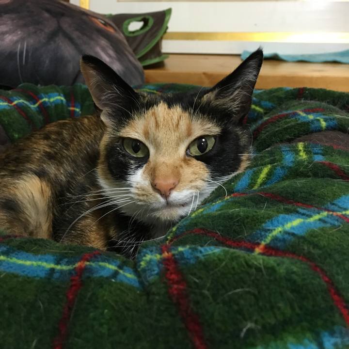 9eee07f8 2b86 4f9b 8415 f4d4cadab651