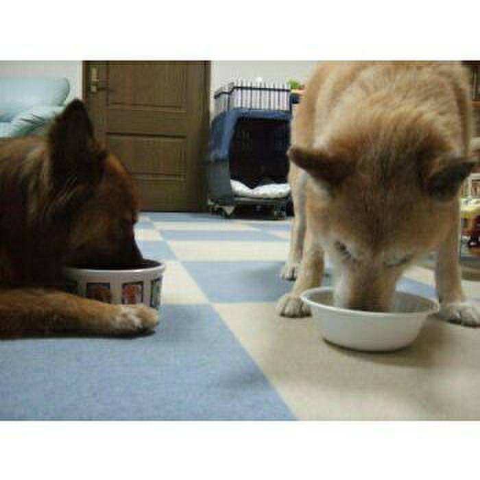 9eee2216 b469 43fb 98c5 13eb76ef806f