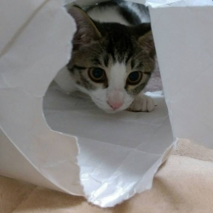 9eee3870 92cb 4bb6 b138 69915308d258