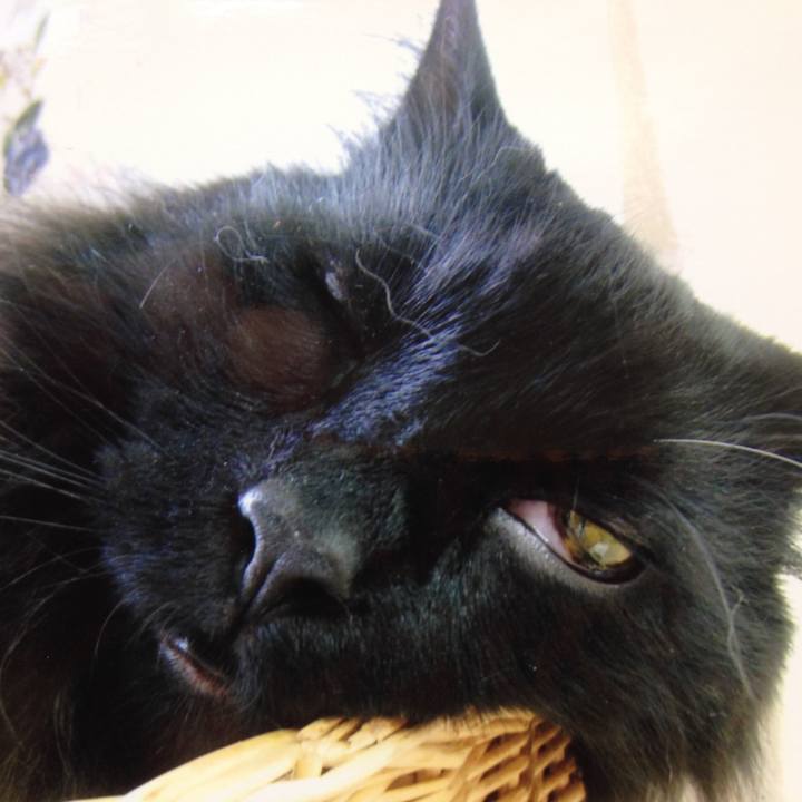 9eee5708 1136 4bf3 94dc bd66e3308b47