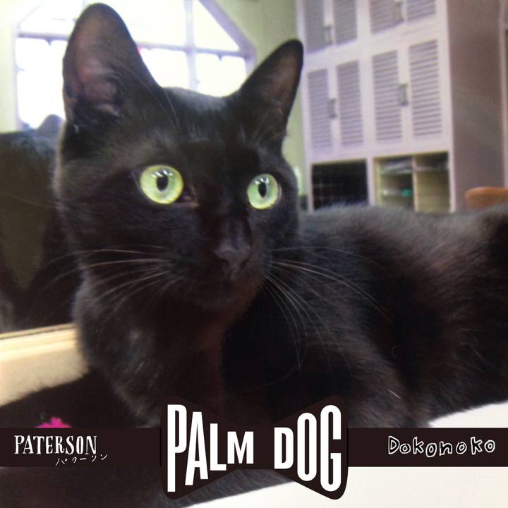 9eee9fd6 e114 4079 8bf2 a6361a91b31b