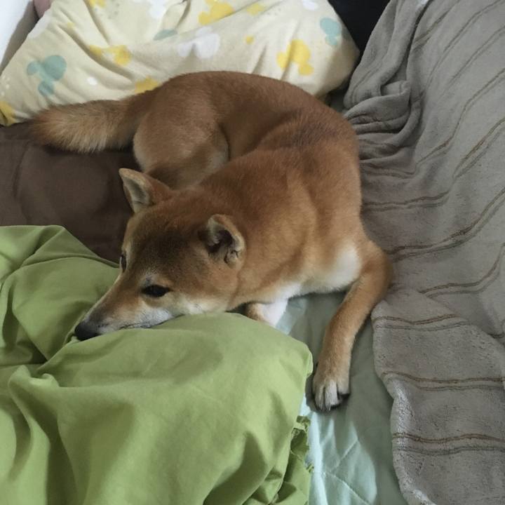 9eeeb042 25f5 42f0 9364 a64489e565b4