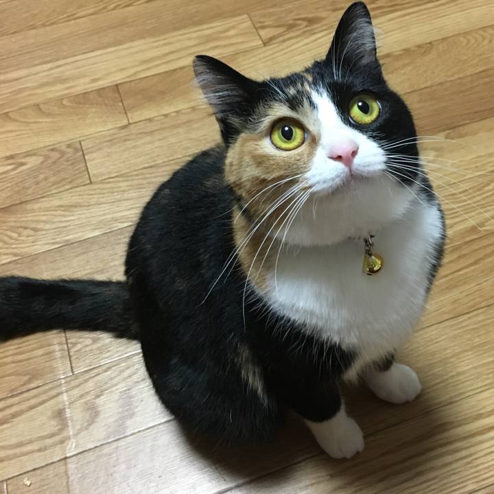 9eef287e 4a29 475c bb97 88b9eaf28379