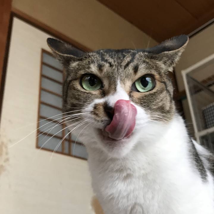 9eef95ec d3d3 4909 8d61 2d929afb7e93