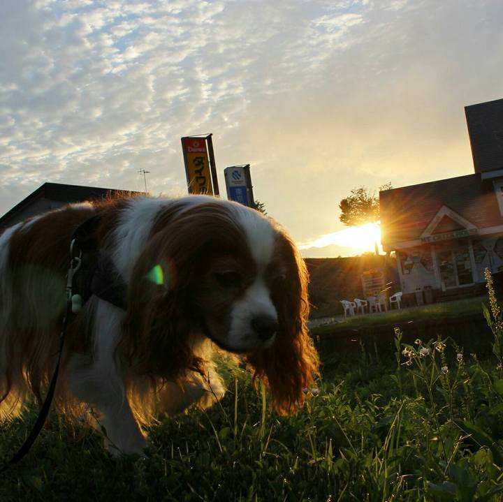 9ef064bc 338d 47c7 8fe7 335a44926524