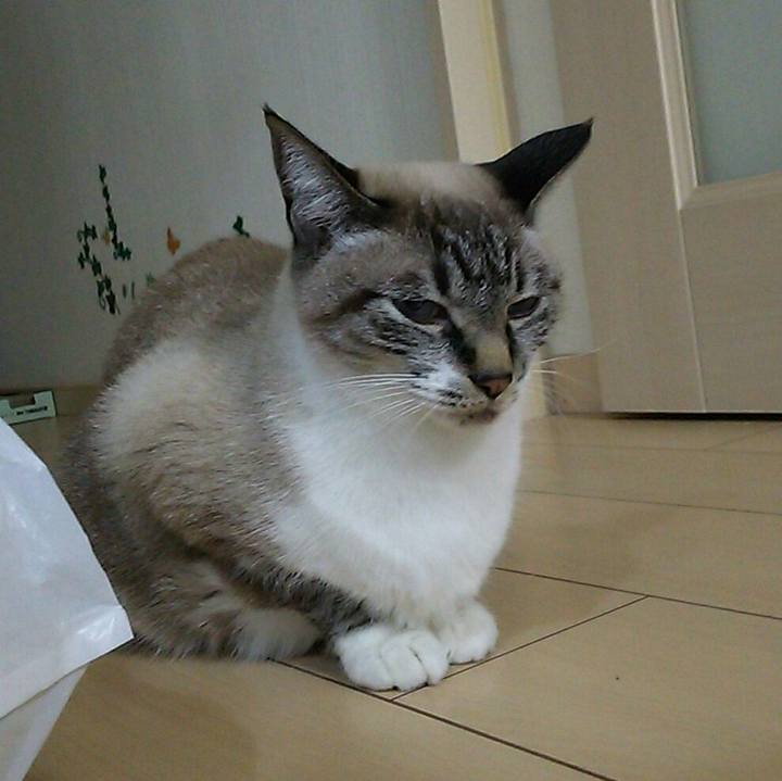 9ef0bdbf 357d 4f34 aea4 3457f6edac99