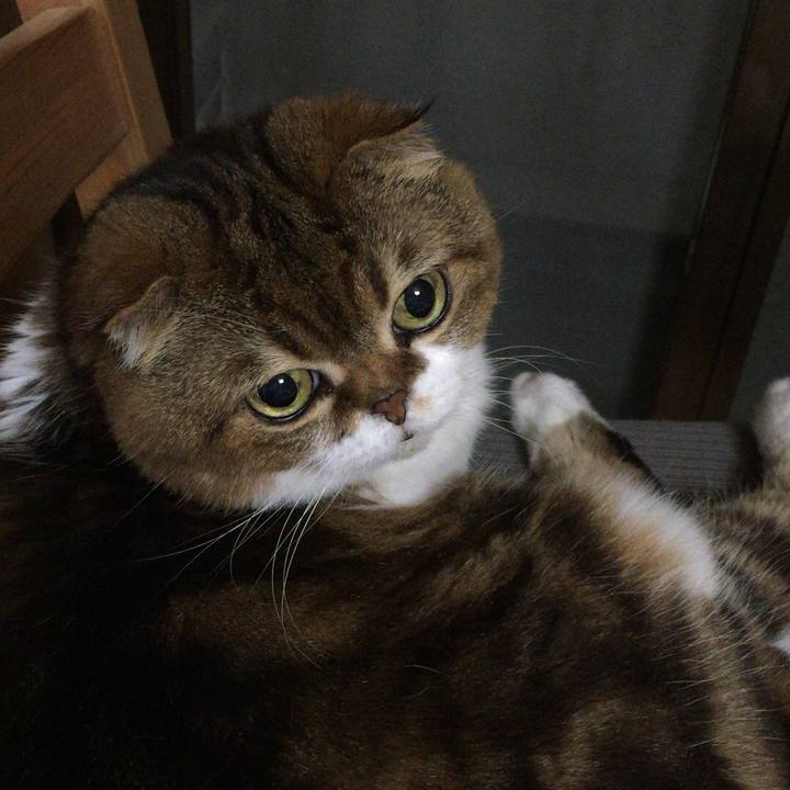 9ef0f691 3425 4531 9a43 3b2594c3c233