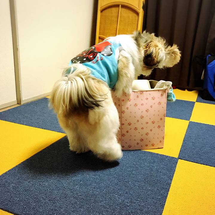 9ef112c5 49c6 4eb0 a073 7603e736ee41