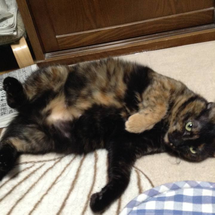 9ef18d5d ba18 4c7a bf4e b26525fedb9e