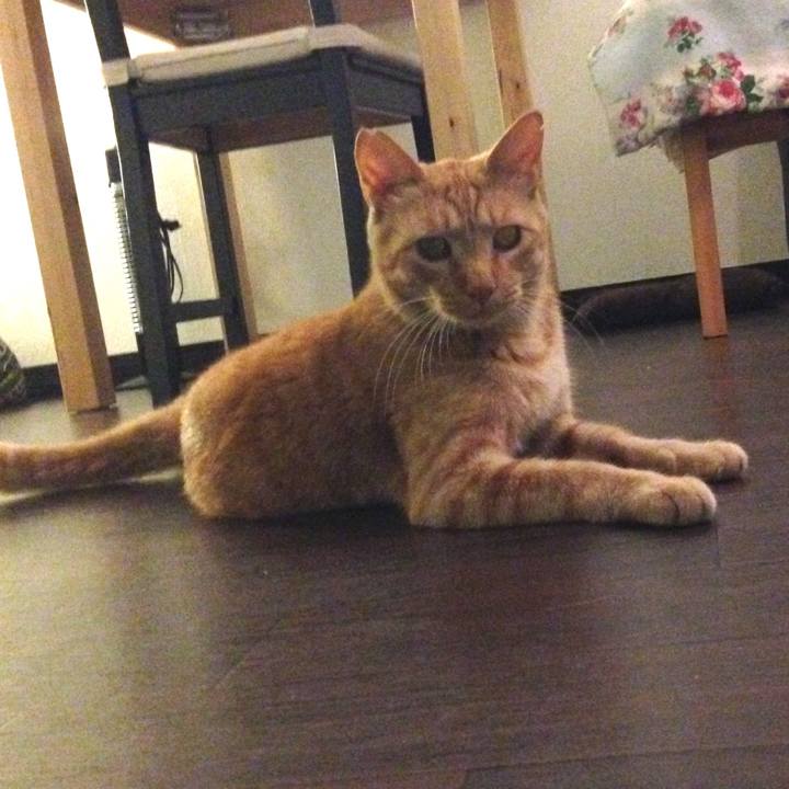 9ef1b37c 6df7 40c8 943f a41d89bb212b