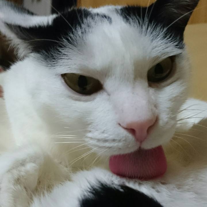 9ef1d0f3 15bf 46db bfa0 8aa919347d36