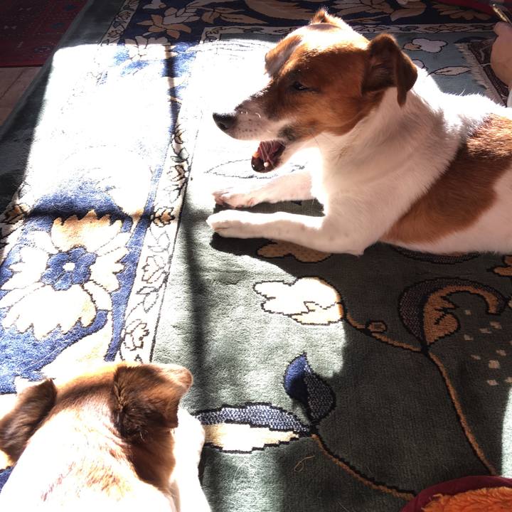 9ef30ebd 2bbf 4ed3 a07b f9cd84b897be