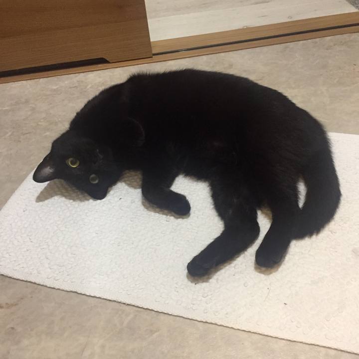 9ef32a1a 88ca 4b2d b471 e5f3594b20d3