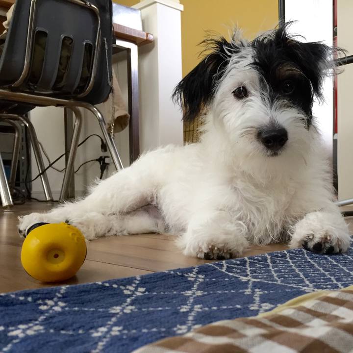 9ef32d57 a7a6 4af0 a4c5 0a517d21c998