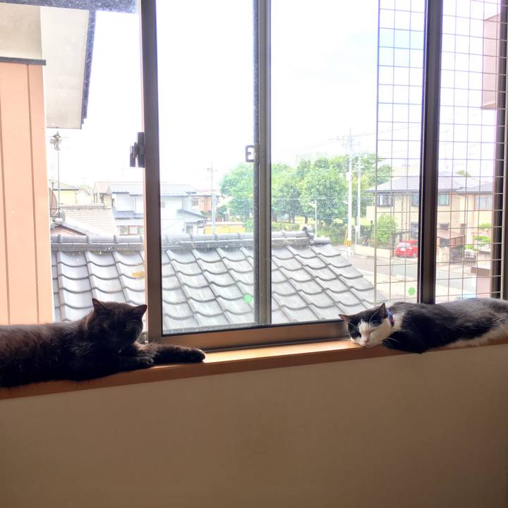 9ef37f7a 4b20 4647 ba21 1cdc5c179dbb