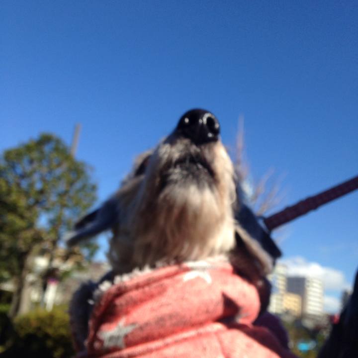 9ef3ad50 f85d 44d9 8b66 02276c203402