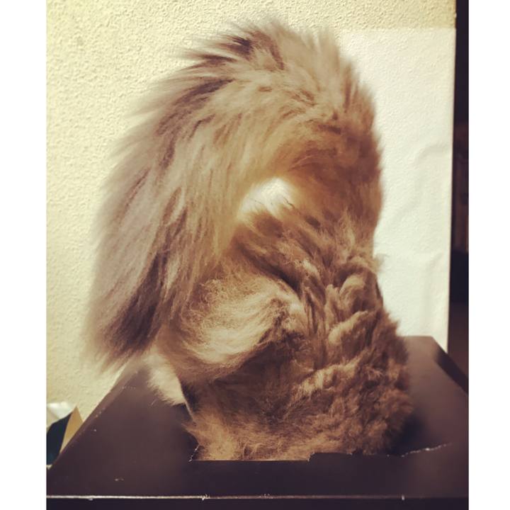 9ef3f331 fad3 4ffd 9407 f5532539f33b