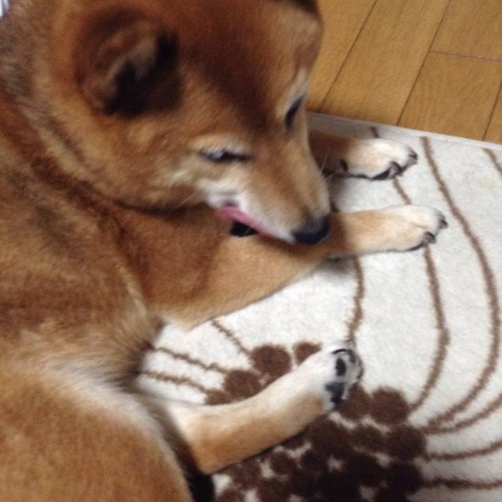 9ef59483 e3cb 4065 8480 0affeddd1e66