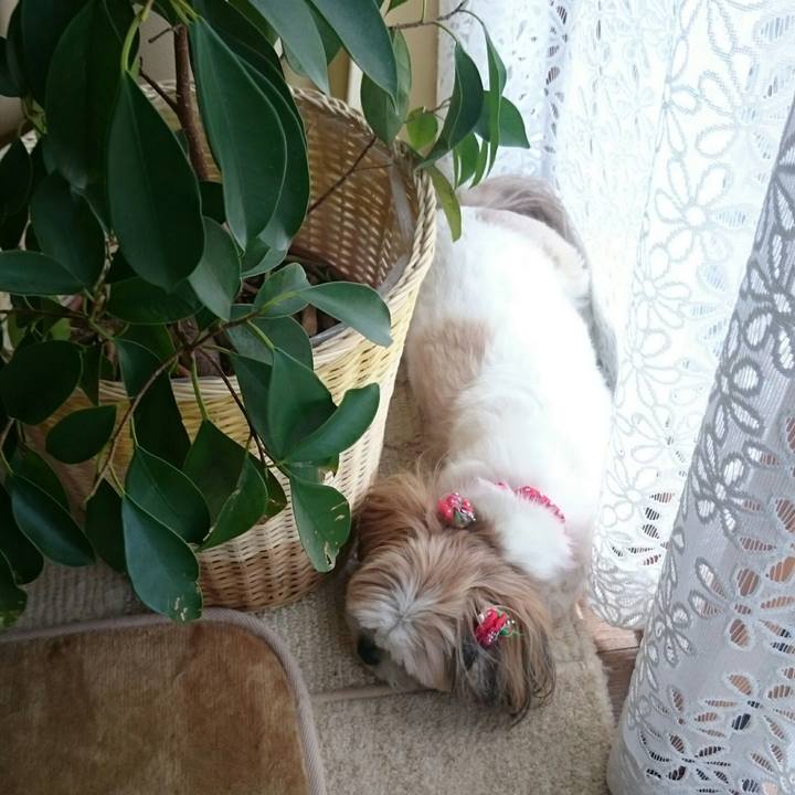 9ef59ec6 6ccb 4670 a7d2 981788109469