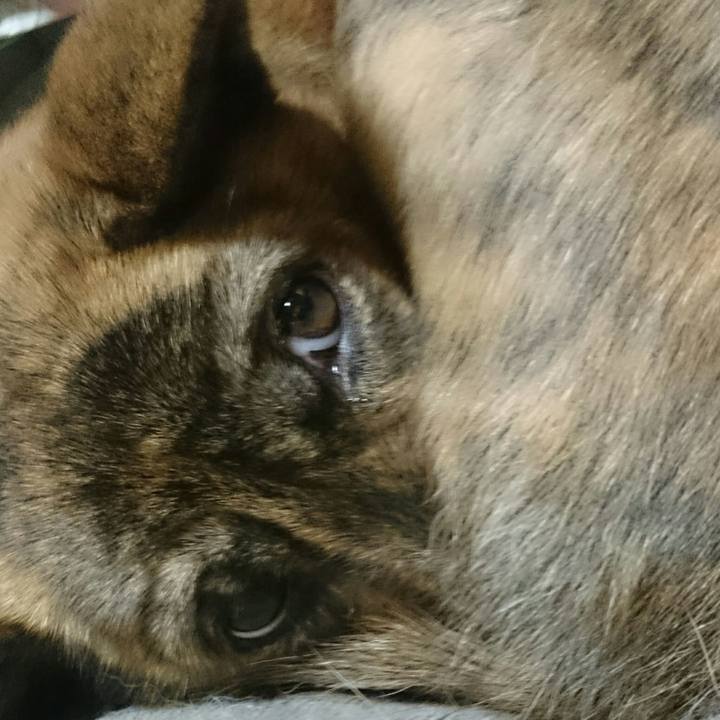 9ef5a6d7 8595 4d22 ad5b dcfe8b5ef1ed