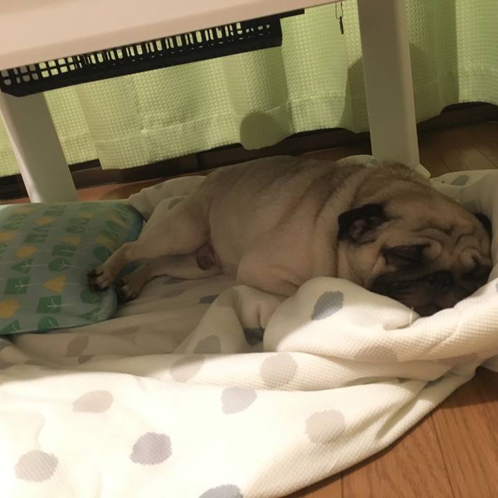 9ef5e2bf 5cd0 4ede 924c b3a3a6b4e4e6