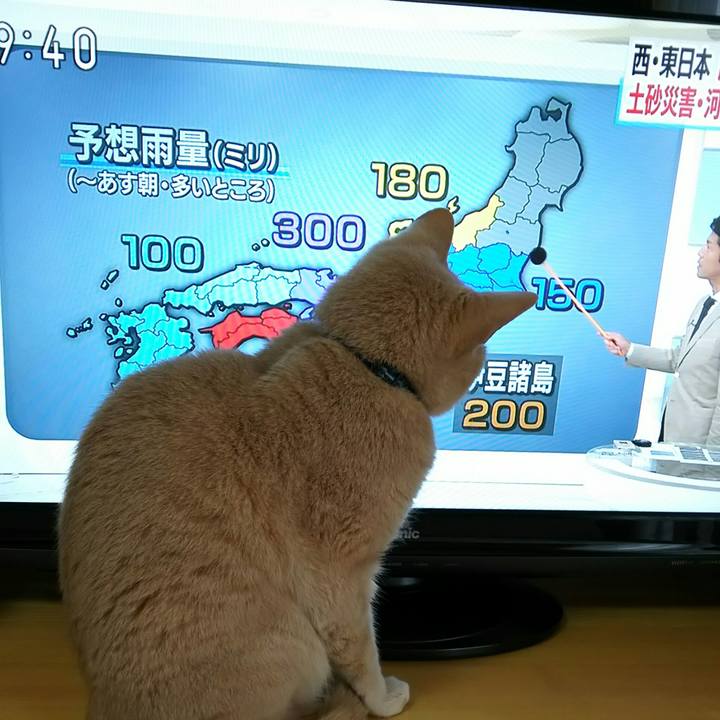 9ef6284e ae0e 43d8 a053 8857d6297b06