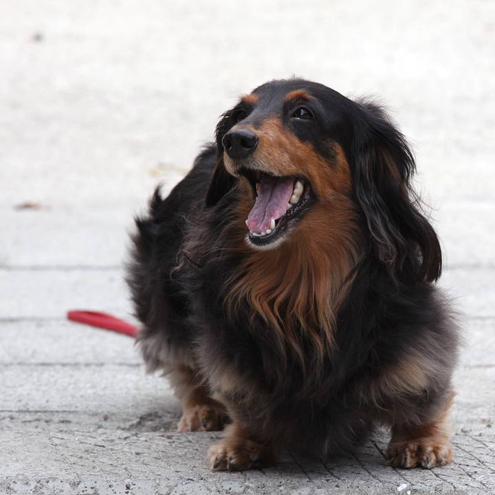 9ef65f89 f9c4 45ce 886c c08bb6f35514