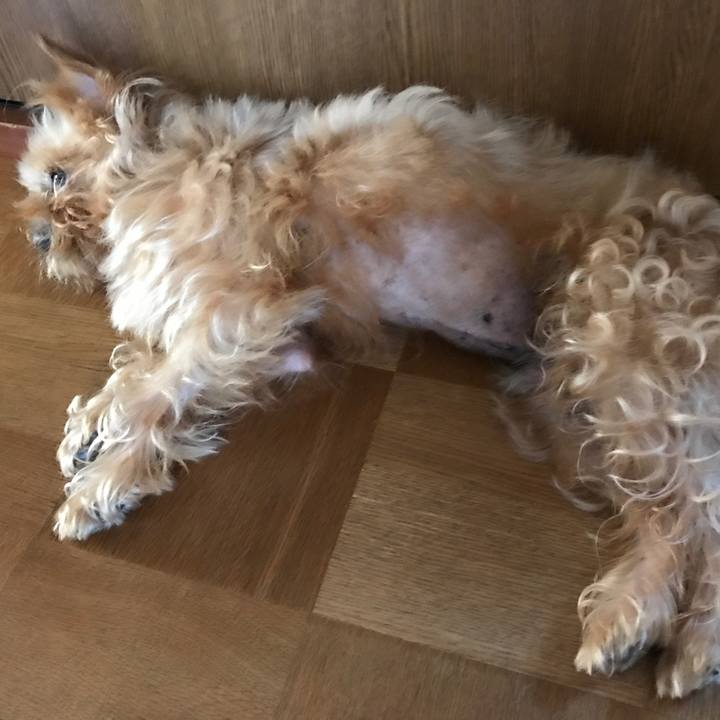 9ef67e5c acfa 4c19 b78c 0bad337a9e35