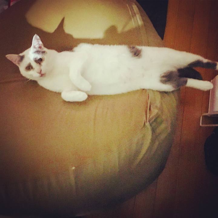 9ef70321 2ac5 4486 ad52 d956f9840e1e