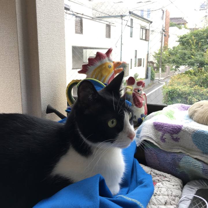 9ef753e9 f9f3 4da7 b0b8 e8559722c701