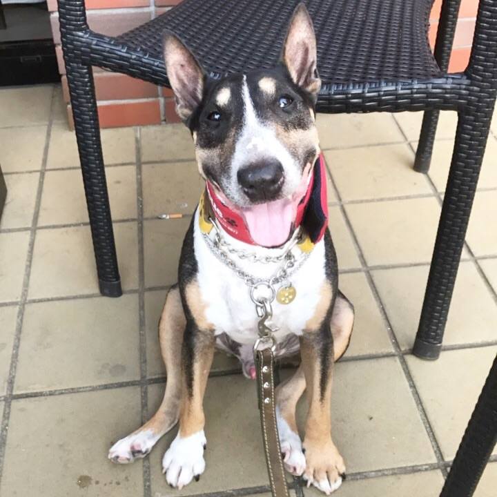 9ef7a541 1427 40d9 91d7 27ab55a692c7