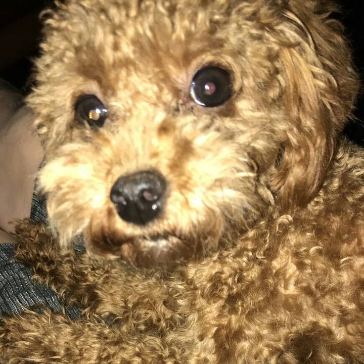 9ef7fd31 9760 416f bbfd 0c6dba17d0de