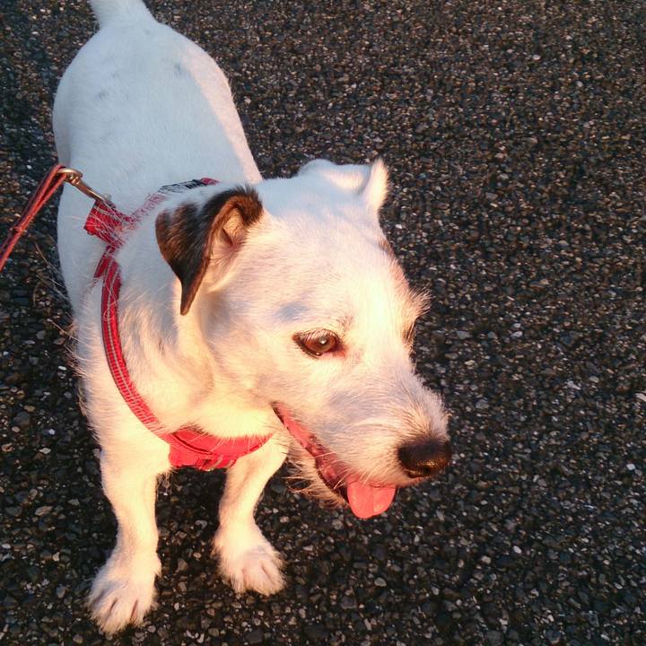 9ef9b6e3 7a92 43db 9113 3a7a952b6390