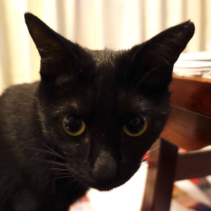 9ef9cbc4 f592 4ecf ae08 44113ad80b1d