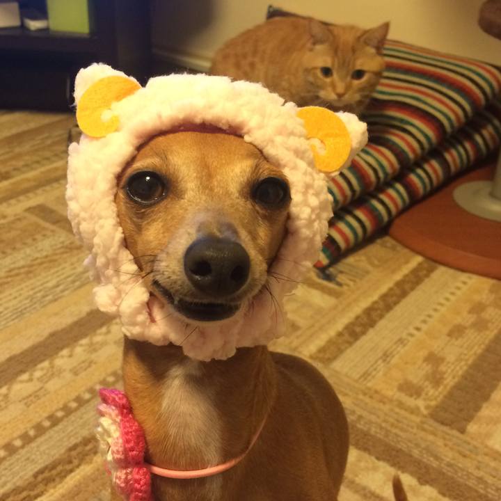 9ef9d3a9 749a 45af ae08 4057959b72c2