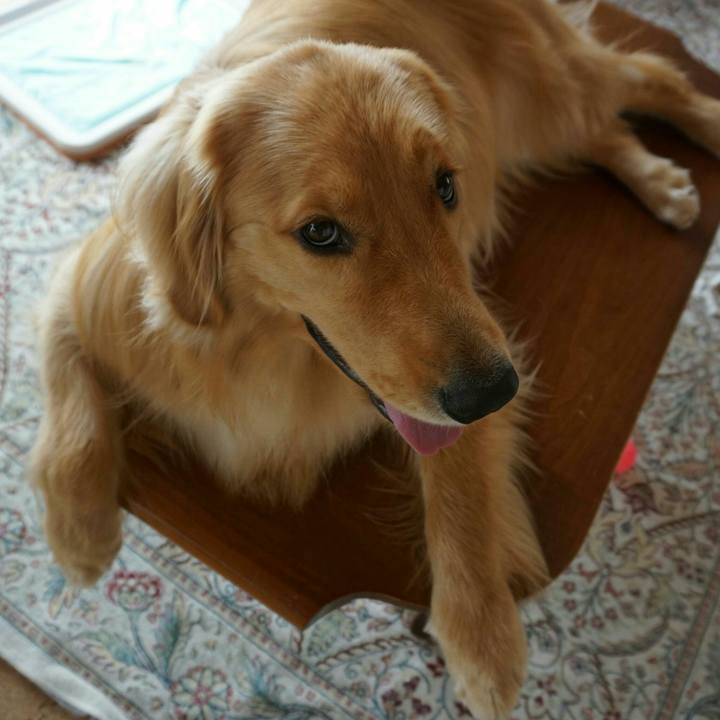 9ef9e8d8 4c49 4954 9c24 74466edf75e6