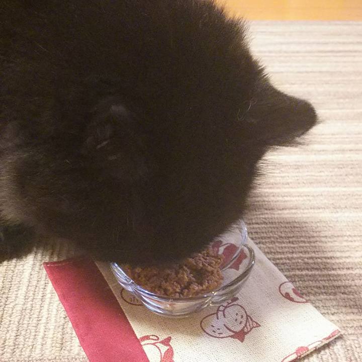 9efa10bc d992 4b5a b886 2028b7819102