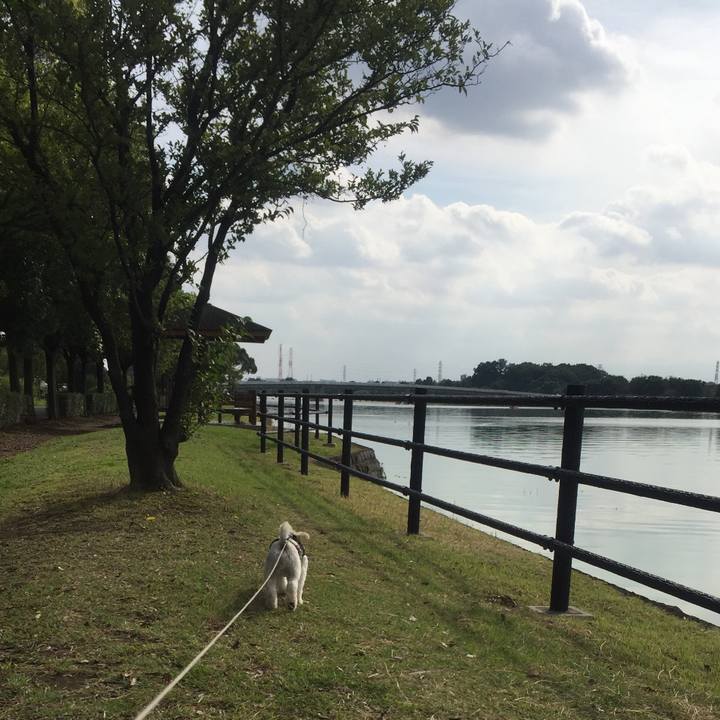 9efa12ef d5fb 4068 98ac 2f4be4895c54