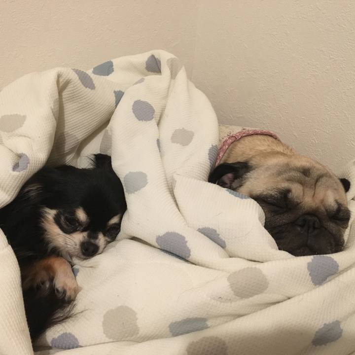 9efab887 cad1 4961 bc63 32f726a5c735