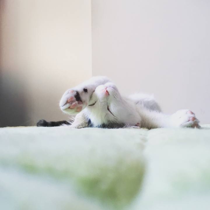 9efb23b6 f474 4703 929b e50ca6397353