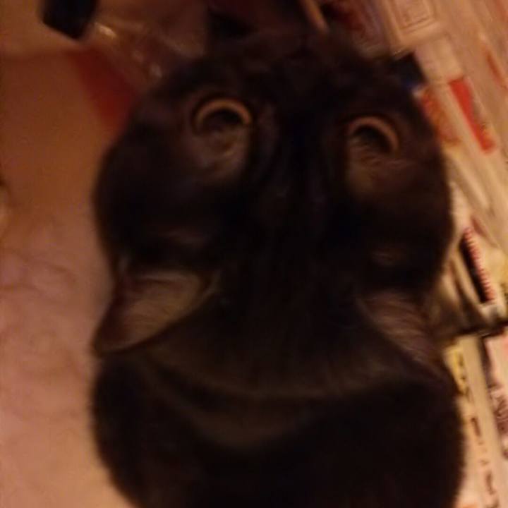 9efb4076 cbda 437d a9c2 2f4798197a68