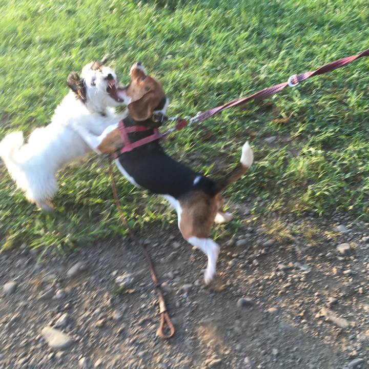 9efb4f86 bd94 47f6 9bdf a8fbd02770e6