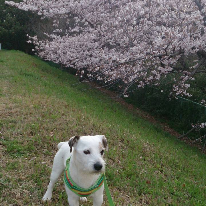 9efbd0db 7128 4c50 926e 220f1a7364a3