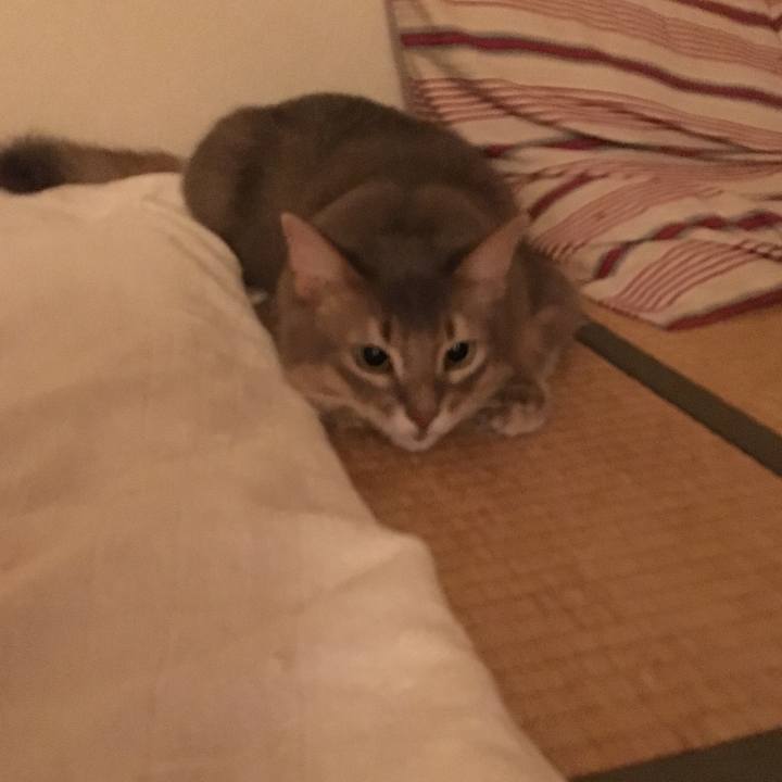 9efc0c8e 8f42 42f6 8761 41558c581ba2