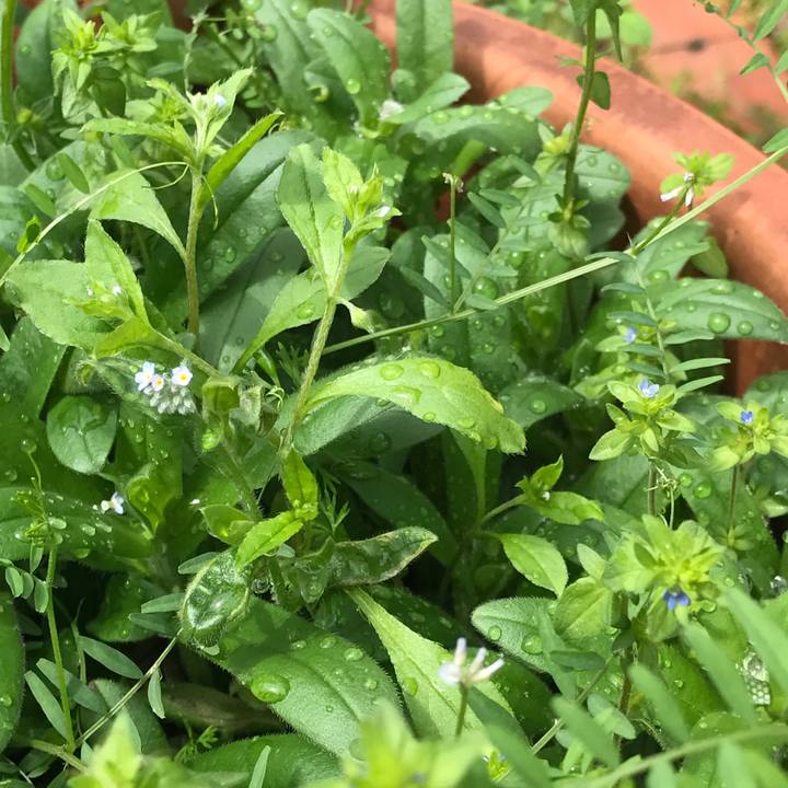 9efc9aee afe0 4c83 a3ec ba3d59f2dfb2