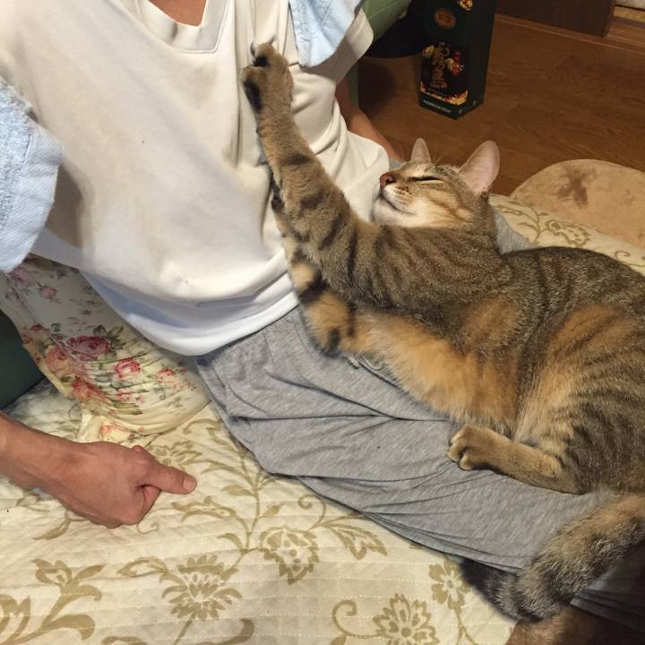 9efd4685 aef0 4ce7 bc55 0a1e3252e481